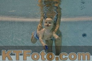 Photo 4298150