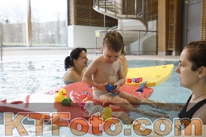 Photo 4298251