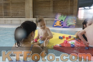 Photo 4298253