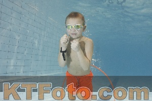 Photo 4300311