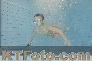Photo 4300425