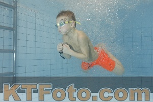 Photo 4300426
