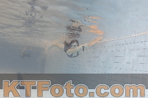 Foto 4301305