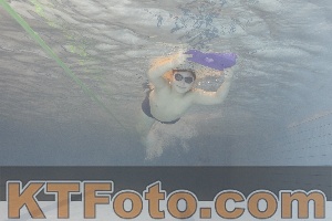 Photo 4301327