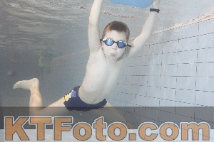 Photo 4301332