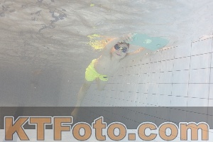 Photo 4301333