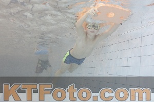 Photo 4301341