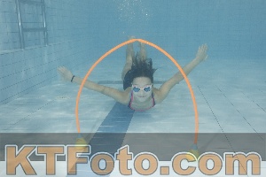 Photo 4301344