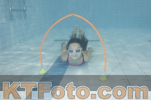 Photo 4301345