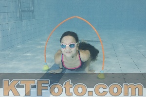 Photo 4301347