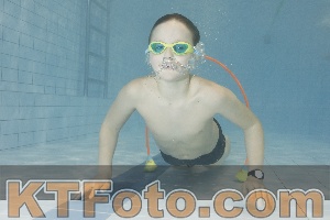 Photo 4301351