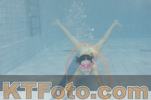 Photo 4301352