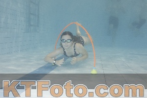 Photo 4301356