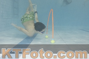 Foto 4301368