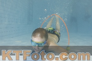 Photo 4301376