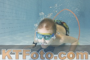 Photo 4301377