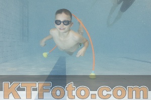 Photo 4301379