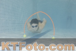 Photo 4301384