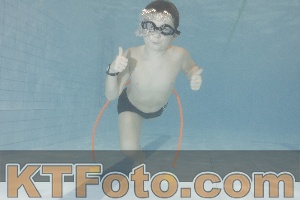 Photo 4301392