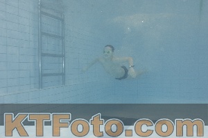 Photo 4301412