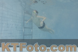 Photo 4301414