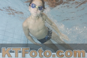 Photo 4301420