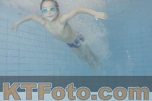 Photo 4301421
