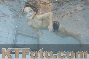 Photo 4301423