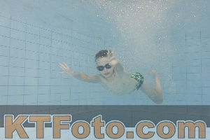 Photo 4301435
