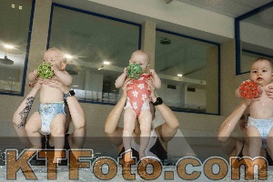Photo 4315969