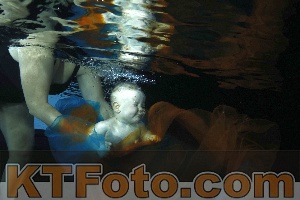 Photo 4316001