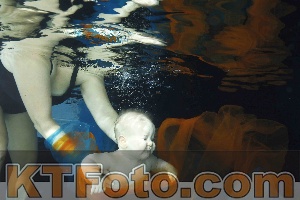 Photo 4316002