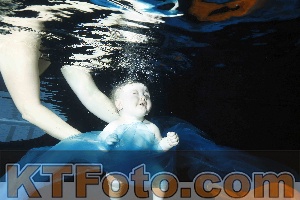 Photo 4316003