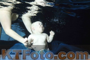 Photo 4316005