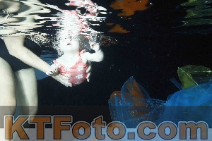 Photo 4316006