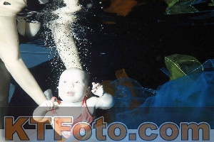 Photo 4316008