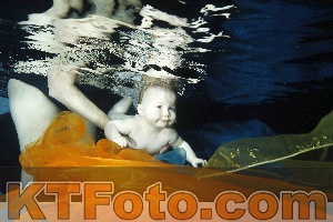 Photo 4316009
