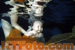 Photo 4316010
