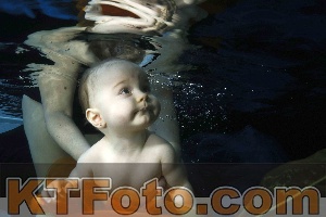 Photo 4316011