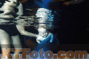 Photo 4316012