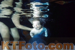 Photo 4316013