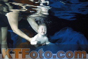 Photo 4316017