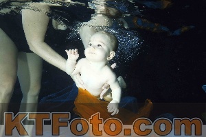 Photo 4316023