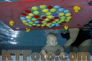 Photo 4316039