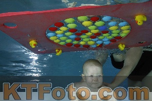 Photo 4316040