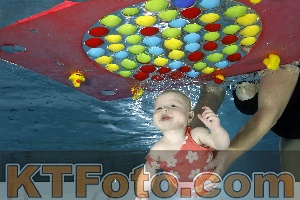 Photo 4316043