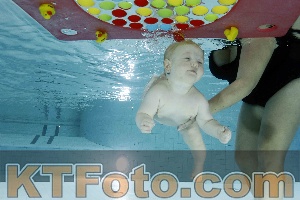 Photo 4316044