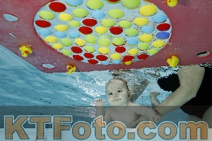 Photo 4316045
