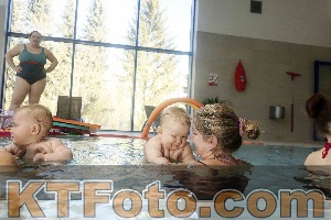 Photo 4316069