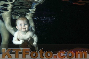 Photo 4316119